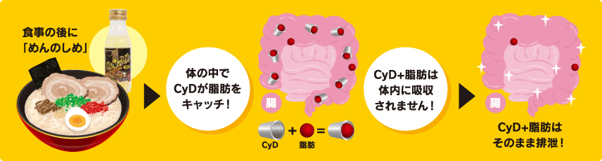 Cyd+脂肪はそのまま排泄